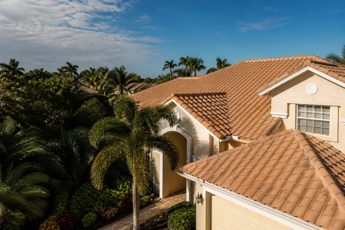 Freshly cleaned tile roof on a Southwest Florida home surrounded by palms